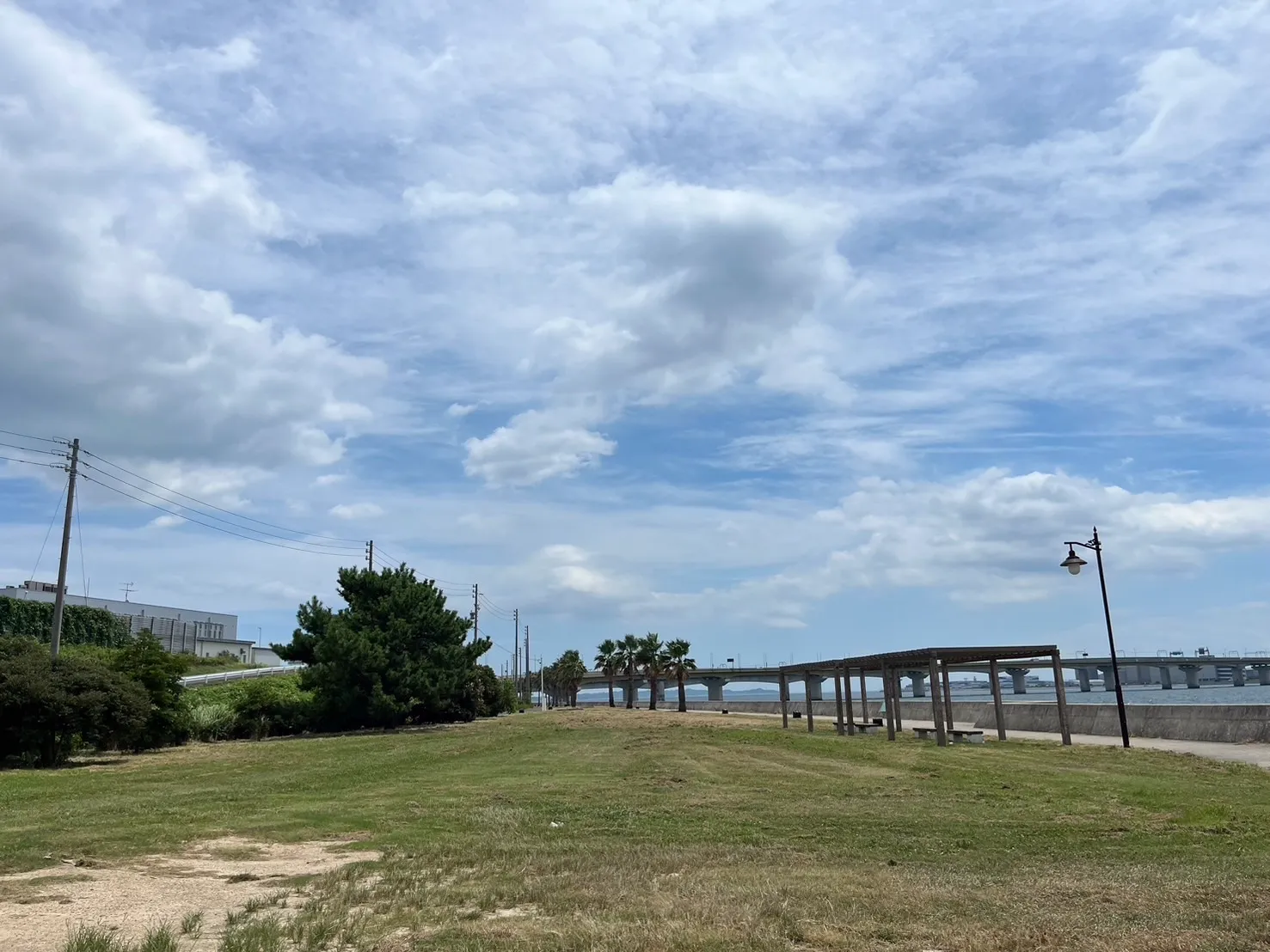 南芝生広場(南側)の画像